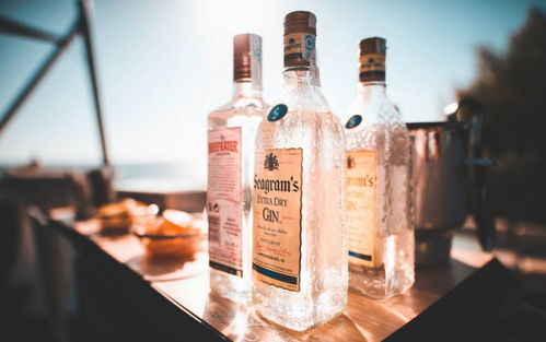 春節特輯 酒精飲料（包括脫醇酒）——喝酒不傷身的秘訣都在這里了